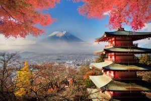 Expat Tax In Japan