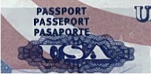 IRS Revoke Passport